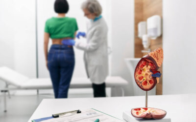 Nephrology Consultation Kidney Model Image Cystitis vs UTI: How to Tell If It’s Just a Bladder Infection or Something More
